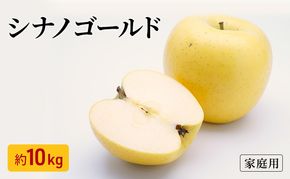 りんご シナノゴールド 家庭用 約10kg フルーツ 果物 甘い 訳あり 林檎 リンゴ