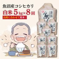 【８か月定期便】令和８年産新米　魚沼産コシヒカリ 精米５kg×８回　計40kg