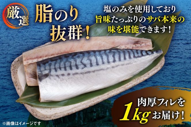 サバ フィレ 切り身 1kg [かわむら家 宮城県 気仙沼市 20565473] 魚 魚介類 魚介 鯖 さば 切り身 無添加 冷凍 便利 弁当 おかず 惣菜