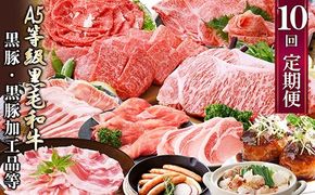 定期便(1年で10回配送)お楽しみ便(A5等級黒毛和牛・鹿籠豚(黒豚)・かご豚加工品等HH-6004 【1166752】