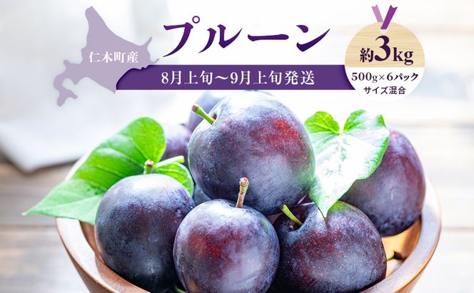 [先行受付] 【8月上旬～9月上旬出荷】北海道 仁木町産 プルーン 約3kg（500g×6パック）サイズ混合 果物類 フルーツ 果物 詰合せ セット [くだもの直売  もり園]