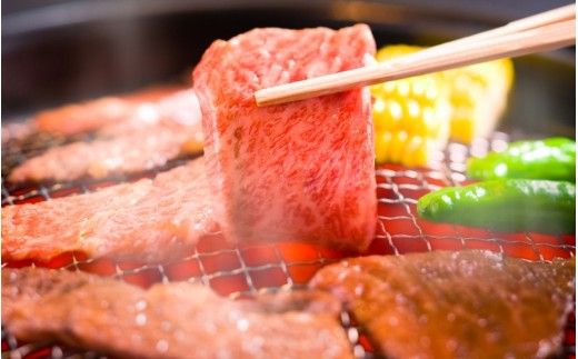 【月3×6回　計18回発送】肉の横綱　伊賀牛まるごと食べ尽くし【cook-tkb0004】