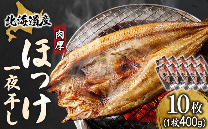 北海道産 ほっけ一夜干し（400～449g）×10枚 【配送日時指定可能】 釧路町の匠が贈る 北の至宝 ホッケ 干物 焼魚 焼き魚 白身魚 セット ひもの 魚干物 一人暮らし セット おかず 冷凍 スピード発送 すぐ届く 魚介類 海鮮 絶品 人気 ヒロセ すぐ発送 北海道 釧路町 釧路超 特産品