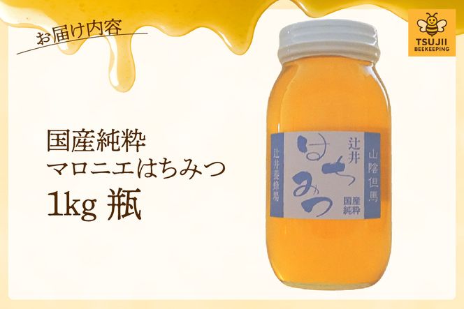 【国産純粋 マロニエはちみつ 1kg 瓶】国産 純粋 マロニエ はちみつ ハチミツ 蜂蜜 栃の木 やさしい 香り まろやか パン ヨーグルト おすすめ 兵庫県 香美町 辻井養蜂場 81-07