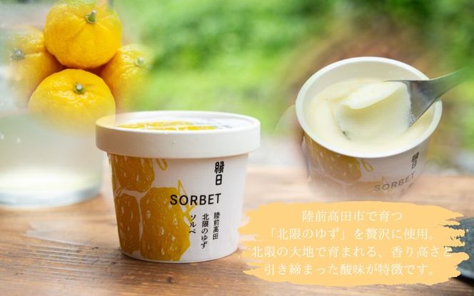 カップアイス　きな粉ジェラート・ゆずソルベ　 各6個入り（合計12個）【ksm003】