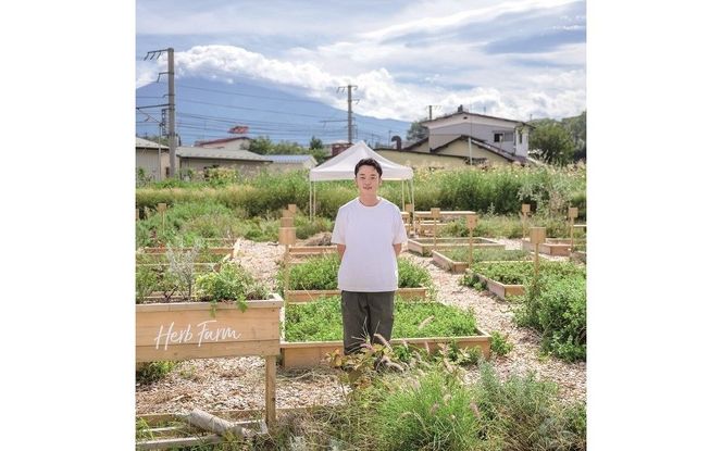 【メール便発送】ハーブティーお試しセット（ミント＆レモン/シトラス＆カモミール）ティーバッグ【選べる お試しセット】 ハーブティー 柑橘系ハーブ セット ノンカフェイン SDGs 山梨 富士吉田