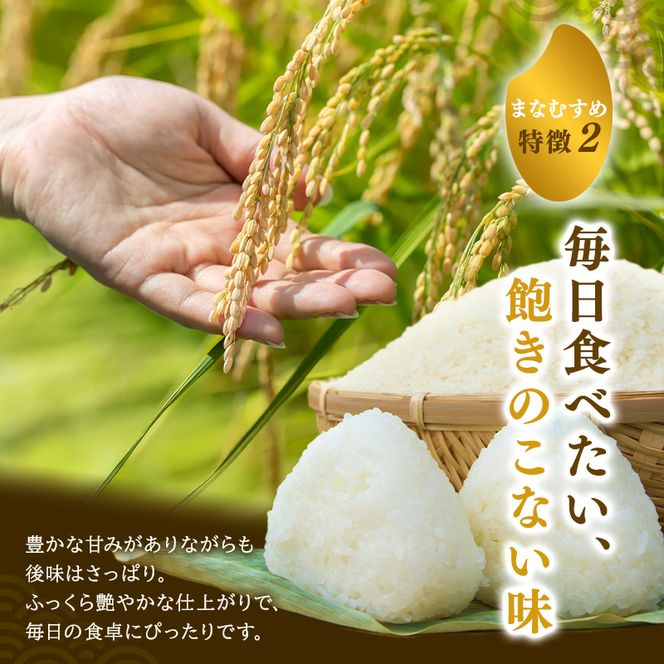 まなむすめ 定期便12回/5kg×2袋 令和8年産 新米 先行予約 宮城県産 米 精米 白米 米 コメ お米 おこめ ブランド米 ご飯 ごはん