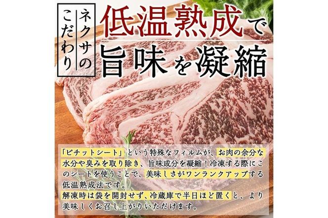 おおいた和牛 リブロースステーキ (計500g・リブロースステーキ約250ｇ×2枚+ステーキソース20g×2袋) 国産 牛肉 肉 霜降り 低温熟成 ステーキ A4 和牛 ブランド牛 BBQ 冷凍 大分県 佐伯市【DH69】【(株)ネクサ】
