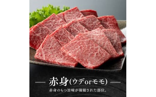 宮崎牛赤身(ウデorモモ)霜降り焼肉2種400g【肉 牛肉 国産 宮崎県産 黒毛和牛 和牛 焼肉 やきにく BBQ 4等級  A4ランク うで モモ 肩ロース ロース 】[D11119]