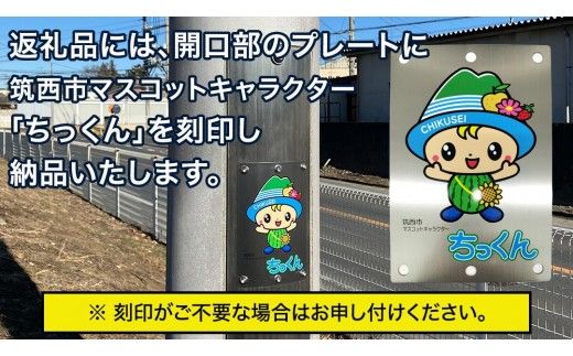 【事前問い合わせ必須】屋外照明用ライトポール LP6.5-18-1.7（8K) 大型 ライトポール 街路灯 景観照明 照明 高耐久 茨城県 筑西市 ちっくん [EV001ci]