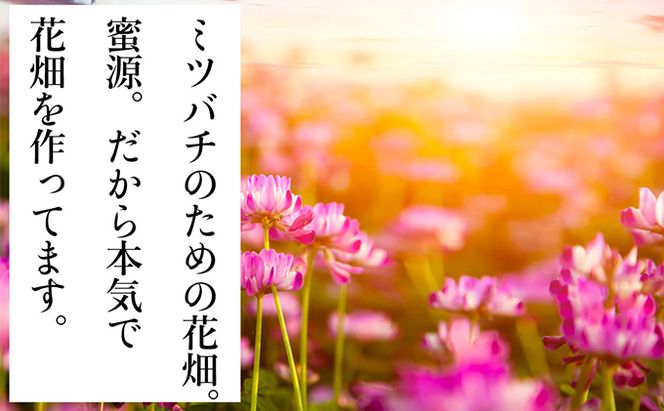 瀬戸内市のおいしい お米 「ひのひかり」 10kg（5kg×2袋）岡山県 瀬戸内市産 石黒農園 ご飯 銘柄米 炭水化物 白米 ライス 主食 和食 おにぎり お弁当 産地直送 