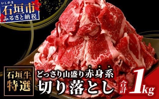 yꌧΊ_szSI-17 Ί_EԐgn؂藎Ƃ@ǂR1kg