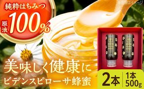コハマのハチミツ ビデンスピローサ蜂蜜 500g×2本 蜂蜜 はちみつ ハチミツ 国産 ギフト  沖縄市 / 農業生産法人株式会社小浜養蜂場[BCAQ003] 