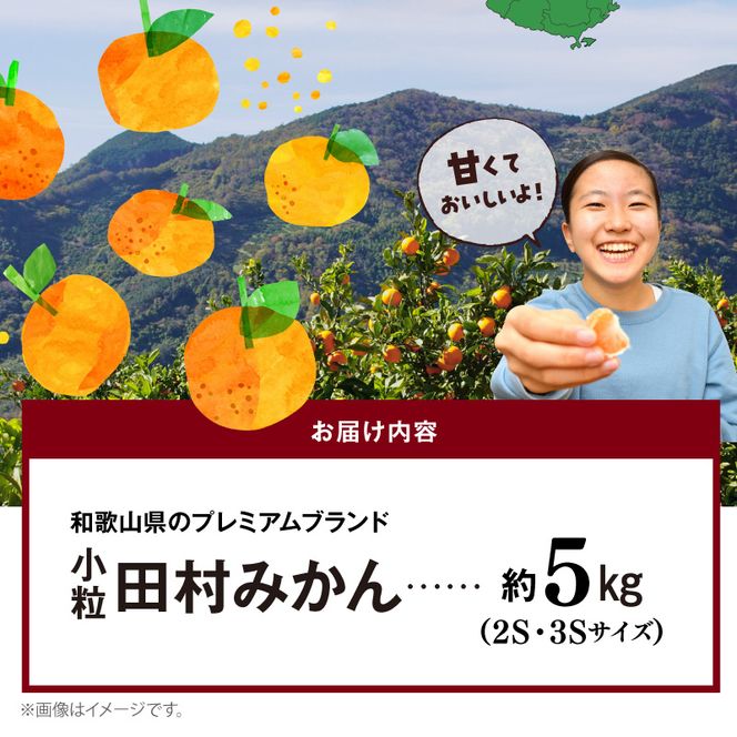 AB7311_【2026年先行予約】小粒田村みかん 2S・3Sサイズ 秀品 約5kg _ 和歌山プレミアムブランドみかん 小玉 小さい 蜜柑 ミカン フルーツ 果物 ギフト お歳暮