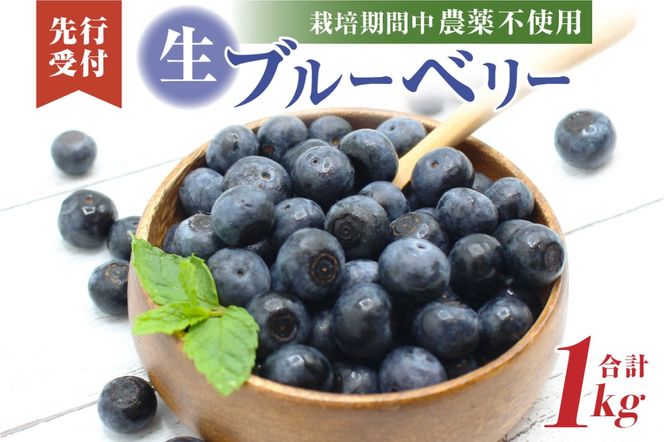 有機肥料で丹精込めて栽培した「ブルーベリー」1kg 栽培期間中農薬不使用 国産【JAほたるの里】_HA0273