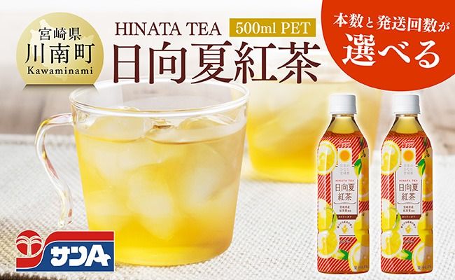 ※本数と回数が選べる※ サンA日向夏紅茶HINATA TEA500mlPET [ 飲料 日向夏 紅茶 ジュース 長期保存 ペットボトル 備蓄 九州 宮崎県産 川南町 持運び簡単 送料無料 ][C03013][C03014]