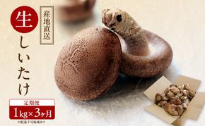 【 産地直送 】 有機JAS 生しいたけ 定期便  1kg×3ヶ月 オーガニック しいたけ きのこ 野菜 岡山県 玉野市 栽培期間中化学肥料不使用 栽培期間中農薬不使用 野菜セット 