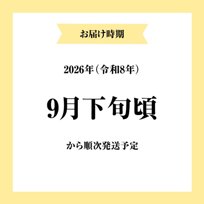 【令和8年産 新米予約】【無洗米】秋田県産特別栽培米あきたこまち10kg（5kg×2袋）新米 お米 おこめ 精米 小分け 特別栽培米