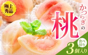 【先行予約】【極上秀品】あふれる果汁で口いっぱい！ 食べきりサイズ 和歌山県産 桃 3玉 / 和歌山 桃 モモ フルーツ もも 白桃 果物 くだもの ※2027年6月末頃～8月末頃順次発送予定（お届け日指定不可） ※離島への配送不可 【kgr501-p-ta3】