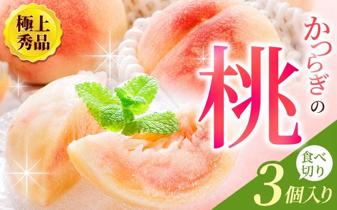 【先行予約】【極上秀品】あふれる果汁で口いっぱい！ 食べきりサイズ 和歌山県産 桃 3玉 / 和歌山 桃 モモ フルーツ もも 白桃 果物 くだもの ※2027年6月末頃～8月末頃順次発送予定（お届け日指定不可） ※離島への配送不可 【kgr501-p-ta3】