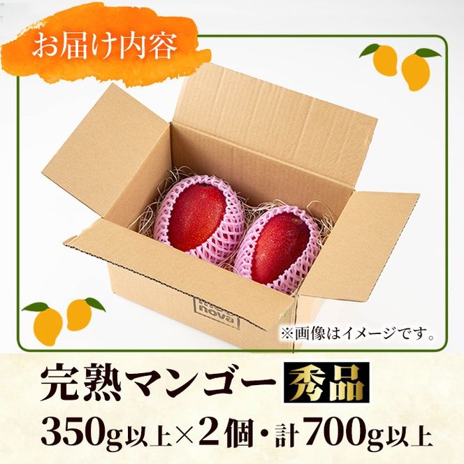 【0125938a】《先行予約・数量限定》鹿児島県産南国の恵み完熟マンゴー(秀品・350g以上×2個) 果物 フルーツ 果実 冷蔵 デザート 国産 【東串良物産館ルピノンの里】