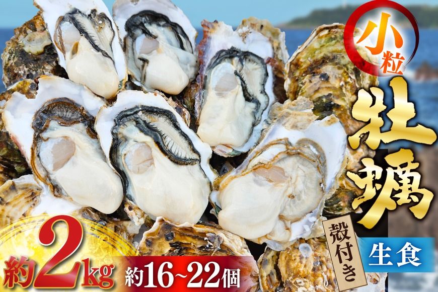 [期間限定発送] 牡蠣 小粒 1〜1年半モノ 生食 殻付き牡蠣 約2kg (約16〜22個入) [住喜水産 宮城県 気仙沼市 20565055] 冷蔵 新鮮 濃厚 真牡蠣 カキ かき 生牡蠣 魚貝類 貝 海鮮 魚介類 なべ カキフライ 牡蠣ご飯 魚介