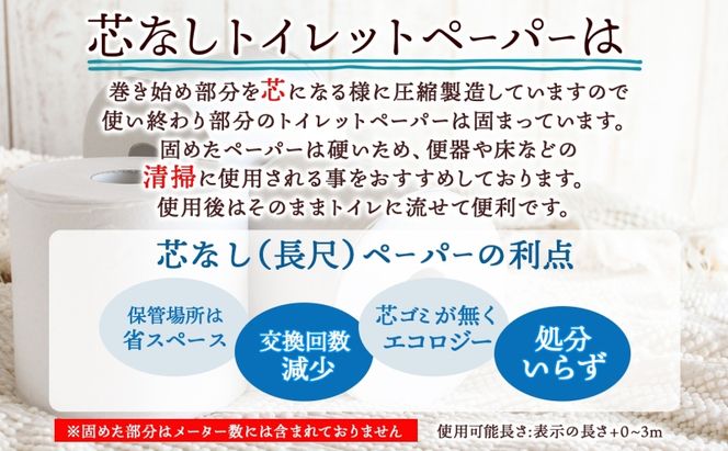 定期便 12カ月連続無包装 芯なしトイレットペーパー シングル 170m 48ロール 紙 3倍巻き ペーパー 日用品 消耗品 再生紙 無香料 備蓄 まとめ買い 防災 JIS規格 送料無料 川一製紙 岐阜県 美濃市 ※配送不可地域：北海道・沖縄県・離島