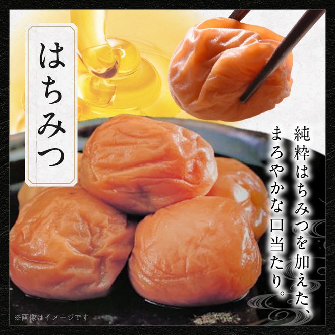 紀州南高梅　二段重箱（はちみつ・昔しそ）_SF1030