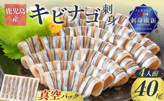 yszY LriShg 40 4lO@K100-010