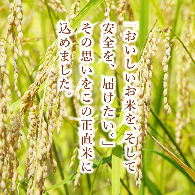 正直米とBHTハンバーグ【米 お米 こめ ハンバーグ 肉 お肉 贅沢 冷凍 茨城県 北茨城市】(BY003)