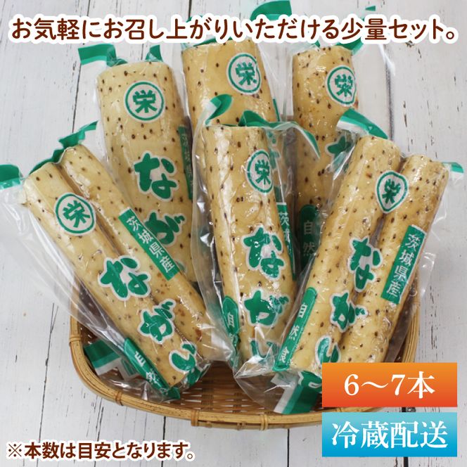 【2025年12月より順次発送】風間商店さんのながいも 約2kg(6～7本)｜ながいも いも 芋 長芋 野菜 やさい 人気 美容 健康 腸活 味噌汁 天ぷら 茨城県 行方市 行方市産(HO-1)