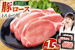 AK033 豚ロース とんかつ用 500g 3パック 計1.5kg [ 豚肉 ロース 小分け 肉 お肉 BBQ バーベキュー 焼肉 アウトドア スターゼン 長崎県 島原市 ]