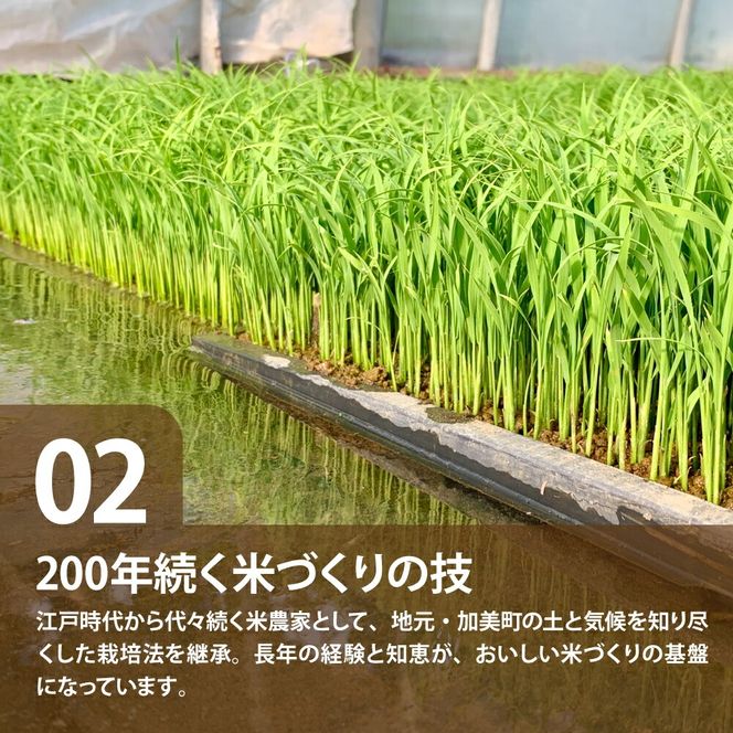 【10kg×3回 計30kg】 米 宮城県産 つや姫　定期便 《 令和7年産 新米 》 ブランド米 白米 精米 ご飯 ごはん コメ こめ お米 小分け 家庭用 結心ファーム [ 宮城県 加美町 ]   |  yu-th10-t3-r7
