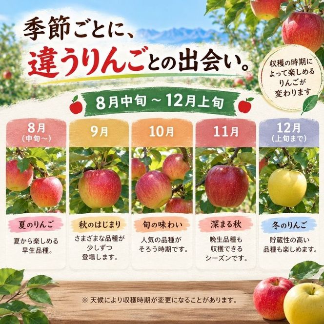 長野県下最大級 りんご狩り体験 りんご狩り発祥園 体験チケット 環境 優しい 安心 安全 こだわり 低農薬 有機肥料 循環型 定番 オリジナル 新品種　 