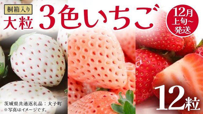 y錧vsz˔ 嗱 3F 12y2025N12{Jnz(錧ʕԗiFq)   ʕ t[c ʎ
