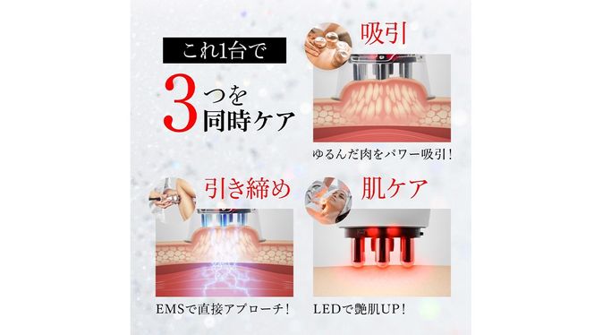 WAVEWAVE EMSスリムエステ EMS 痩身 エステ 美容 健康 引き締め 赤色LED 誕生日プレゼント プレゼント 誕生日 [AG233-NT]