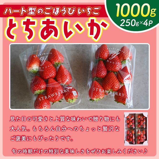 【2026年1月発送開始】【先行予約】ハート型のご褒美いちご とちあいか 合計1kg (250ｇ×4パック) | 栃木県 ふるさと納税 いちご イチゴ 苺 果物 フルーツ とちあいか 熟成 ご褒美 ハート型 こだわり (DS001)