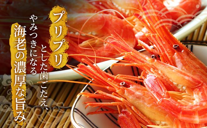 えび 3D冷凍 北海道 厚岸産 浜茹で 北海しまえび 中サイズ 500g (33尾前後) 海鮮 魚介類 
