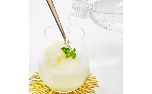 文旦アイス 12個入り 1個110ml ブンタン ぶんたん フルーツ 果物 柑橘 みかん お菓子 おかし おやつ デザート スイーツ ギフト おいしい 爽やか シャーベット【有限会社戸田商行】 [BQCA013]