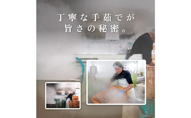 1057.【2027年1月～2027年3月発送】特撰 松葉がに（なま）【訳あり】500g超のサイズ 食べ応えあり 2杯 313726_BS035