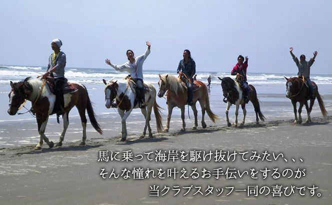 [SUNSHINE STABLES]利用補助券（3,000円分） 体験チケット チケット 