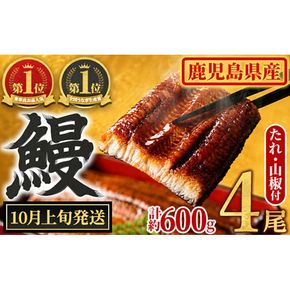 【0204348a-2610】＜10月上旬発送予定＞東串良町のうなぎ蒲焼(無頭)(4尾・計約600g・タレ、山椒付) うなぎ 高級 ウナギ 鰻 国産 蒲焼 蒲焼き たれ 鹿児島 ふるさと 人気 【アクアおおすみ】