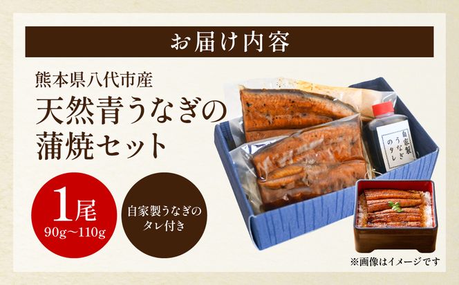 熊本県 八代市産 天然青うなぎの蒲焼 蒲焼セット 1尾（90g～110g） 自家製うなぎのタレ 鰻 ウナギ うなぎの蒲焼 丑の日 国産 うな丼 うな重