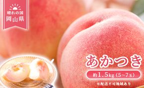 【 2026年 先行予約】 桃 岡山県産 あかつき 約1.5kg(5～7玉) 《2026年7月上旬-中旬頃出荷》 白桃 岡山 はくとう スイーツ フルーツ 果物 先行予約 数量限定 期間限定 岡山 里庄町 モモ もも 桃 