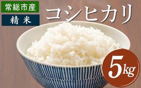 令和7年産 コシヒカリ5kg 精米 常総市産◇