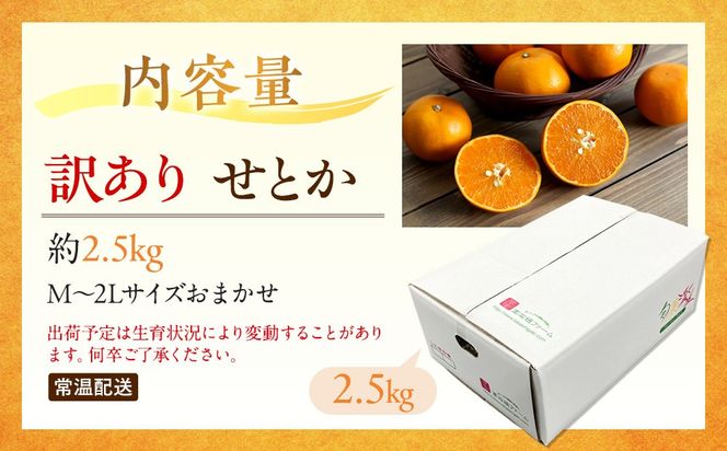 訳あり せとか 2.5kg M～2Lサイズおまかせ 高石垣ファーム   K012