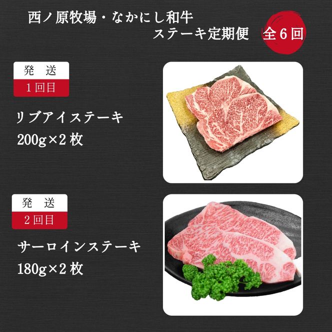 【定期便 全6回】宮崎県西ノ原牧場・なかにし和牛ステーキ定期（牛肉 黒毛和牛 お肉 ステーキ 赤身 モモ サーロイン ヒレ 定期便）