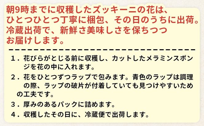 ＜あなたにズッキーニの花 8個＞1か月程度で出荷【 野菜 青果 国産 料理 アレンジ 天ぷら 】【b0916_hf】