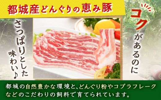 「どんぐりの恵み豚」バラスライス1.5kg_11-1101_(都城市) 都城産 バラ どんぐりの恵み豚 どんぐり粉 コプラフレーク こだわり 「コク」「サッパリ」