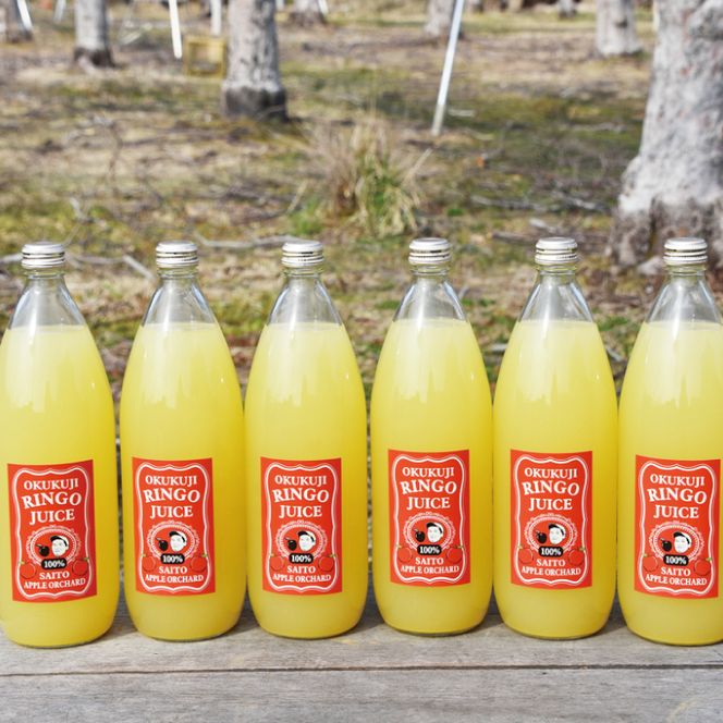 斉藤りんご園の奥久慈りんごジュース（ストレート）1000ml×6 本セット｜茨城県 大子町 林檎 果汁 100％ 無添加 フルーツ 旬 果物 子ども(CG012)